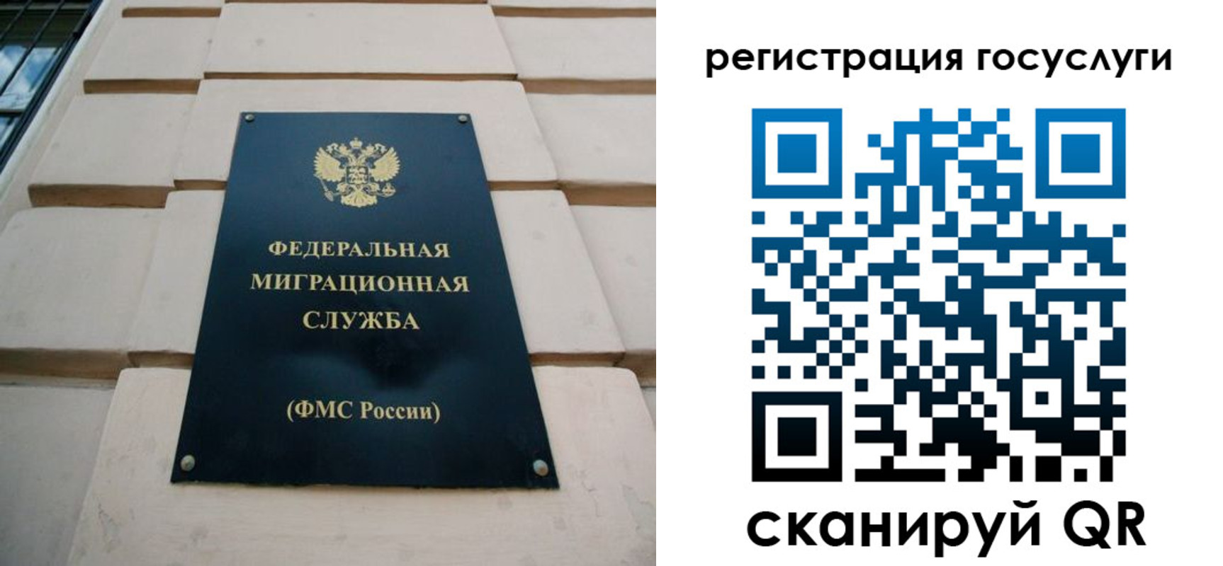временная регистрация поиск в Новозыбкове